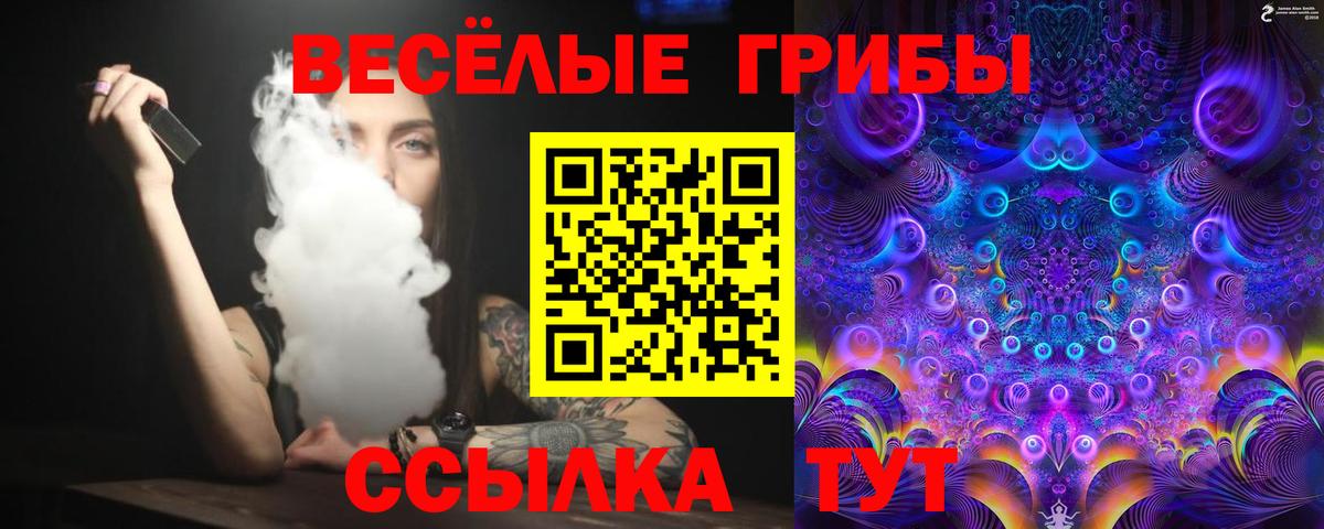 Псилоцибиновые грибы мухоморы Аксай